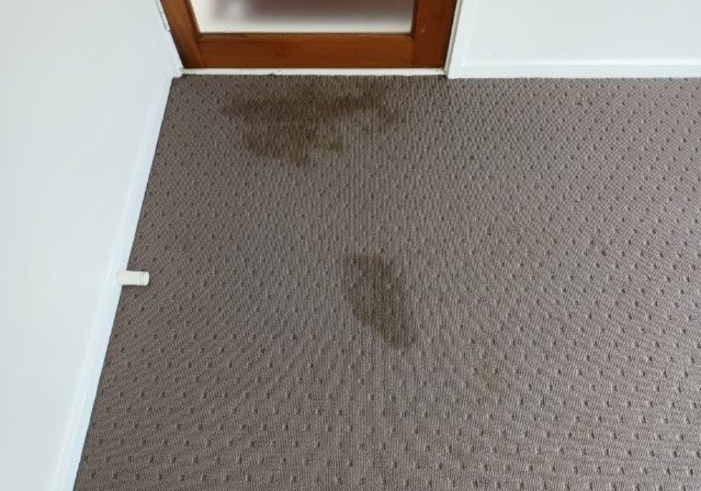 Carpet magic before
